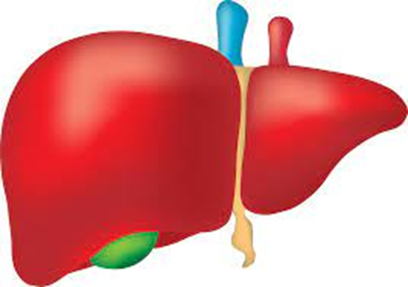 Ce boală provoacă cel mai adesea ciroza hepatică?