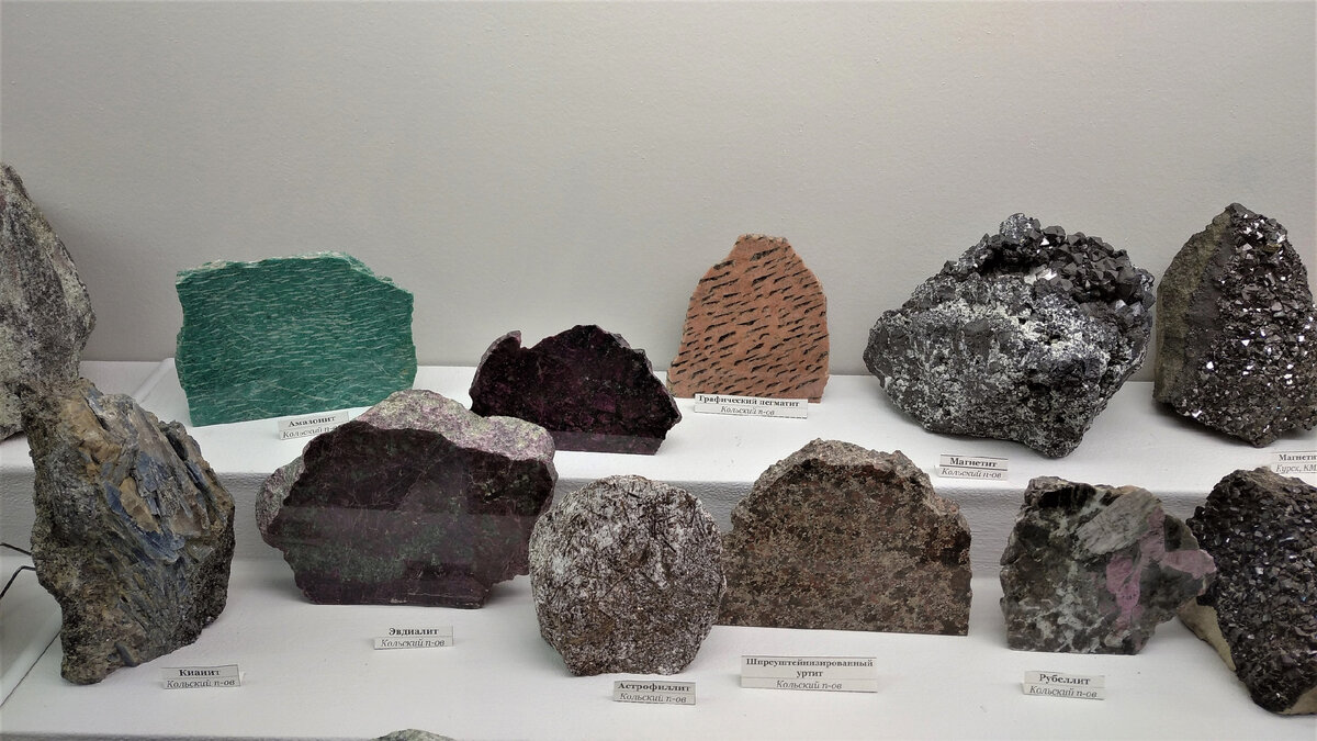 Фото из личного архива Милены Ковылиной.