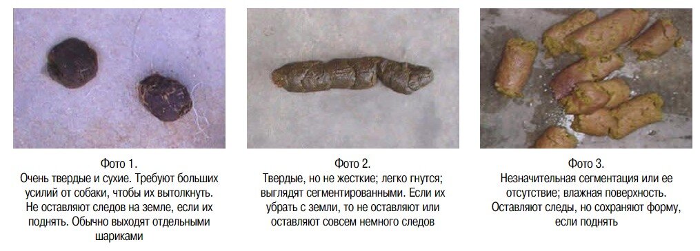 3. Черный кал