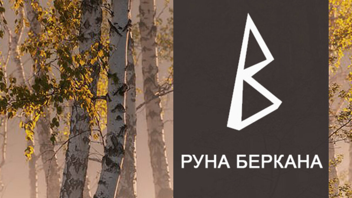Значения рун руна дня. Руна Беркана. Беркана береза. Руны Беркана. Руна Беркана фото.