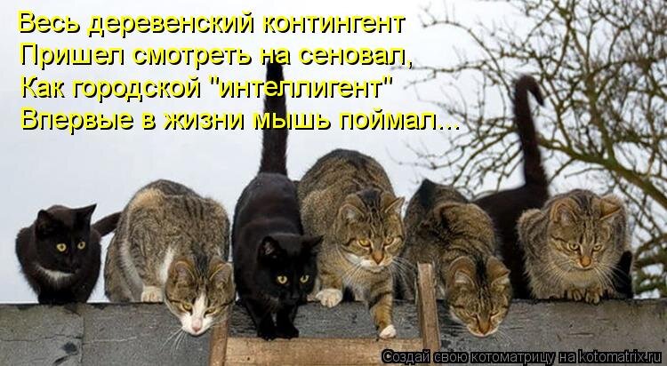 иллюстрация из открытых источников сети интернет