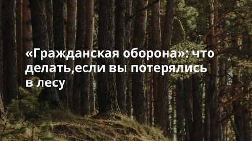 Как не потеряться в лесу и что делать, если вы заблудились? Советы МЧС | fk-partner.ru