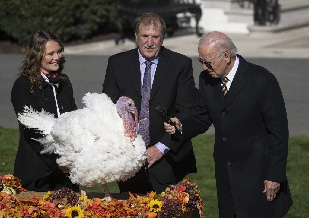 Фото из открытого доступа