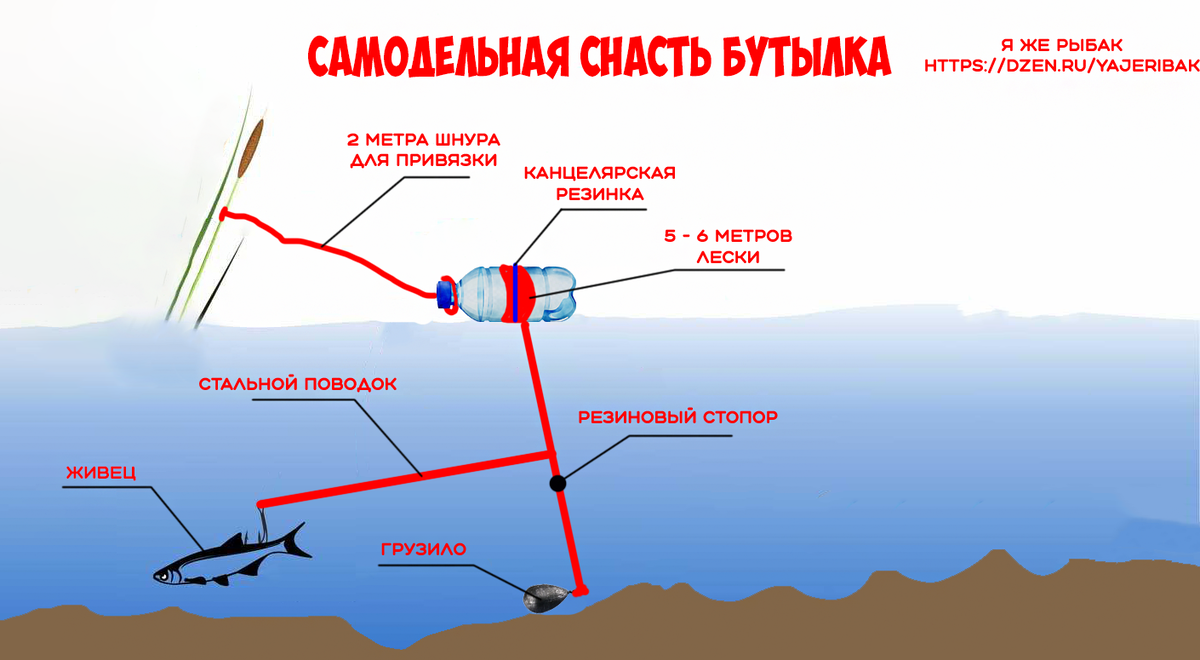 Бутылка для ловли щуки: характеристика остастки