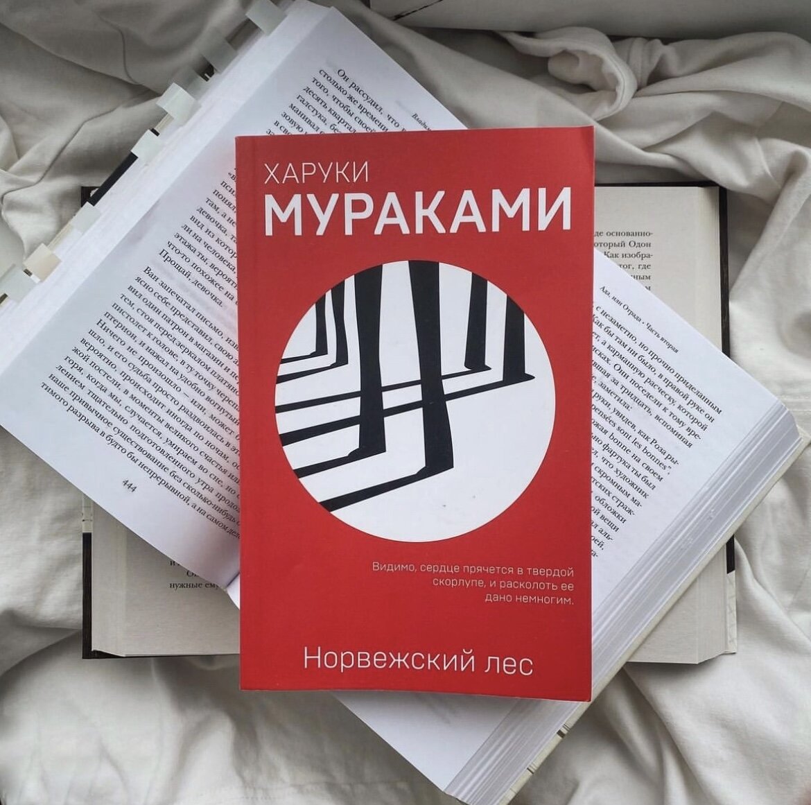 7 причин, почему все так любят читать книги Харуки Мураками | theGirl