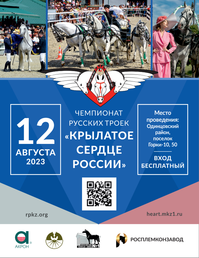 Вот так, уже традиционно в середине июля появляется объявление о Чемпионате