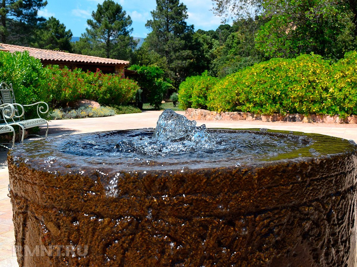   Фото tesswhitehurst.com