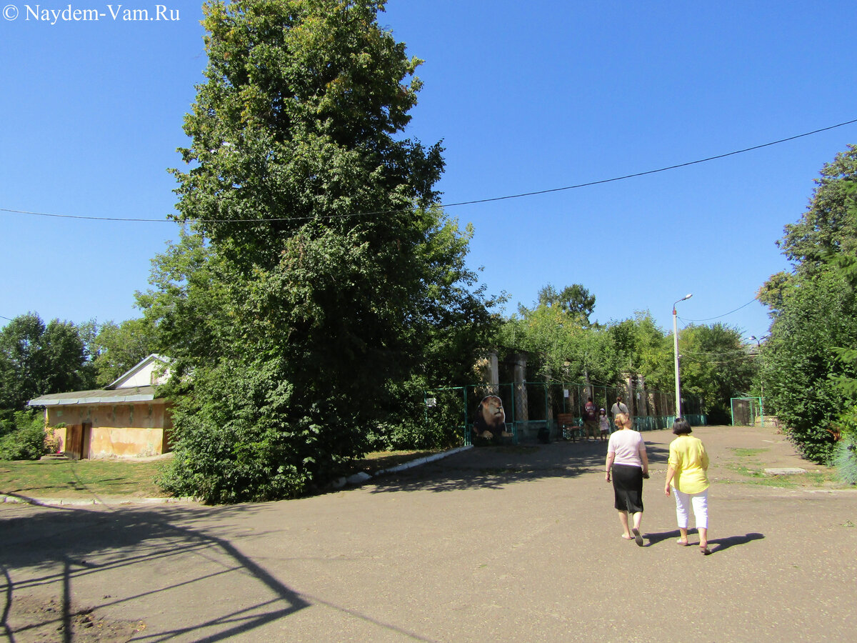 А его здесь и нет. Только картинки. 09.08.23