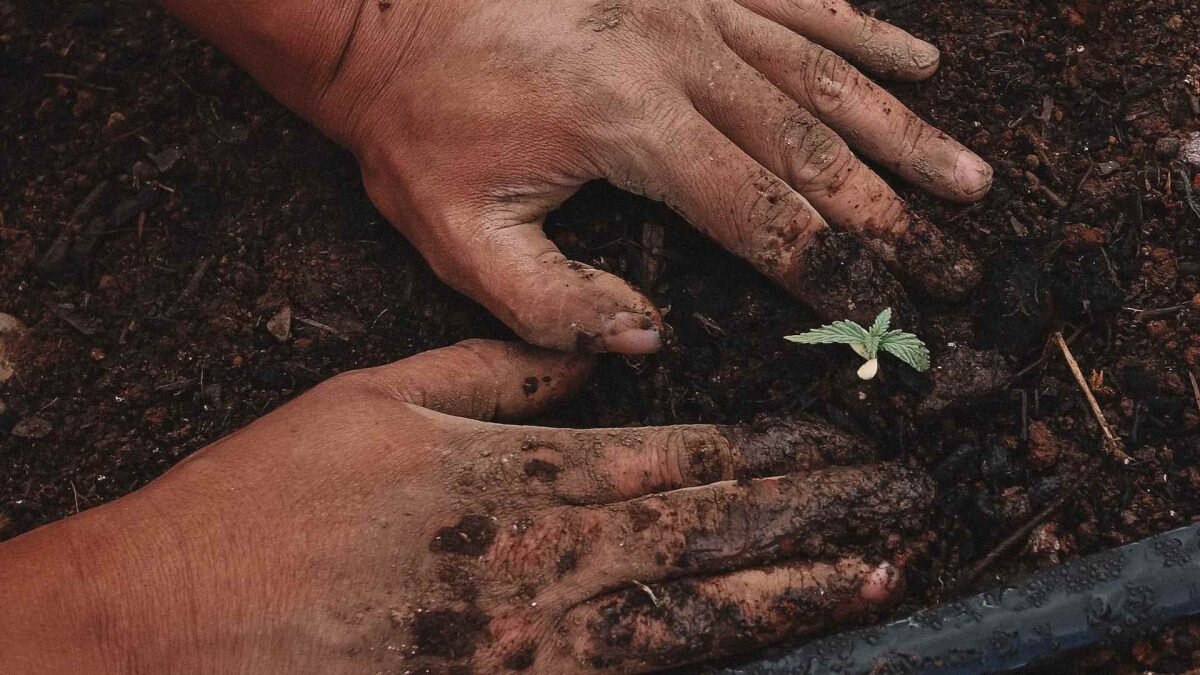    Фото: Unsplash Август Макаров