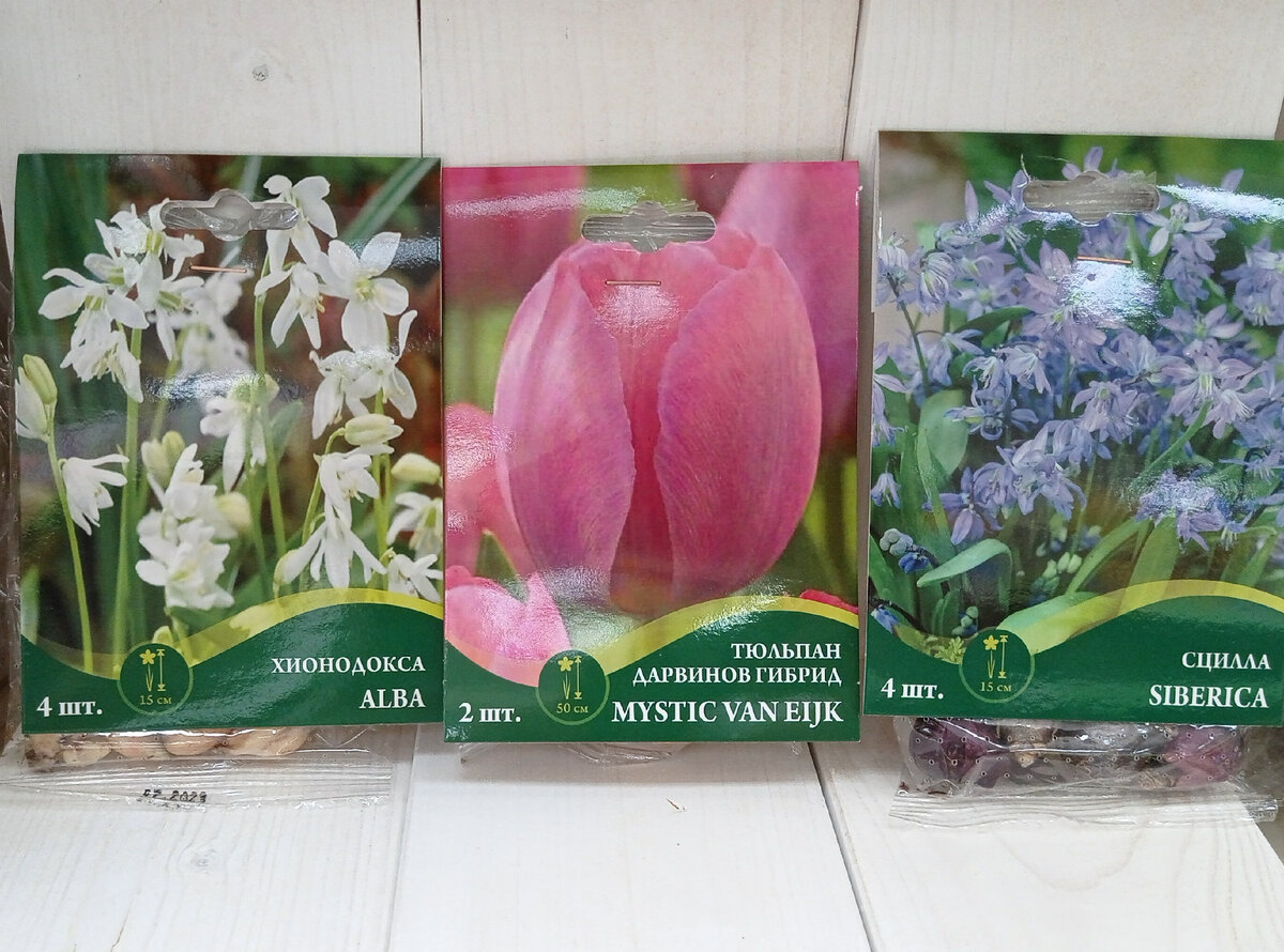 Покупки автора