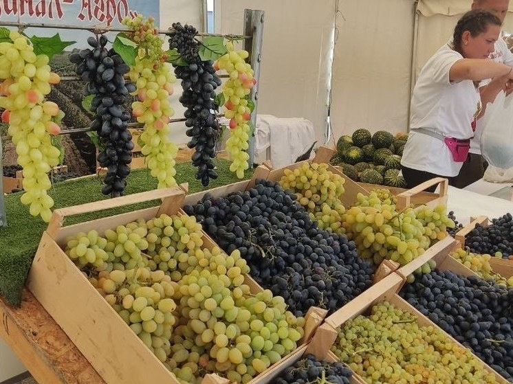     Фото:пресс-служба мэрии Ессентуков.