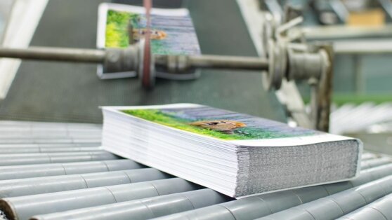    Минпромторг опроверг сообщения о дефиците красок для книг в России Богдан Герцен