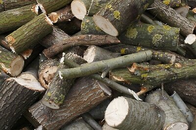    Дрова, ветки ©pixabay.com, Pavlofox