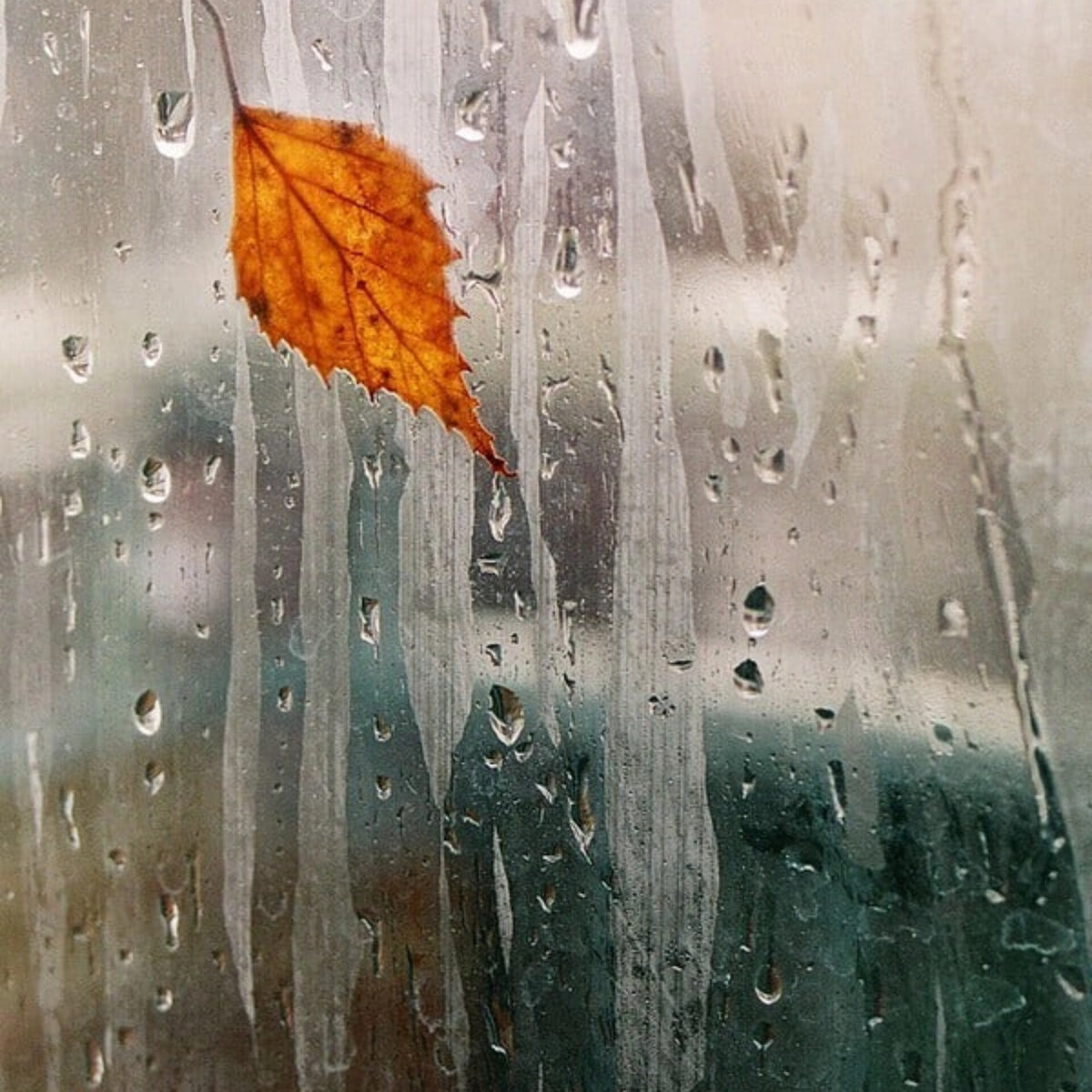 Изображение отредактировано в программе 