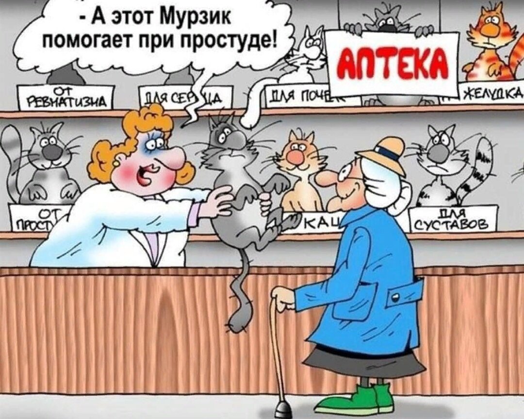 Зачем зарплата на 40 кошек. 