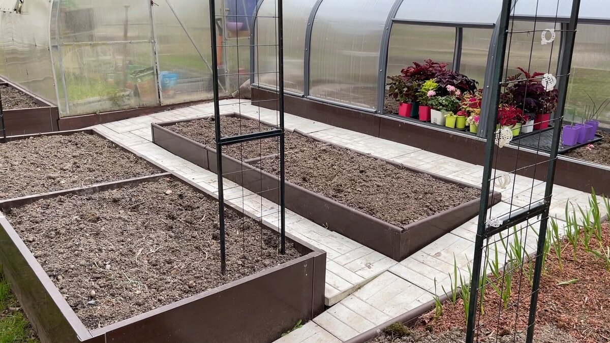 Выбор растений под условия региона