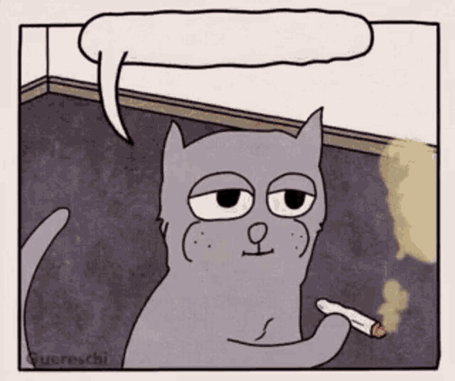 Котик хехе