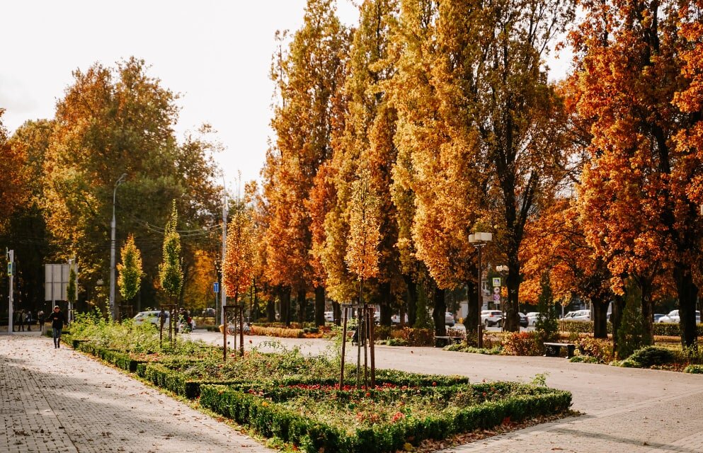 Фото: Дарья Паращенко