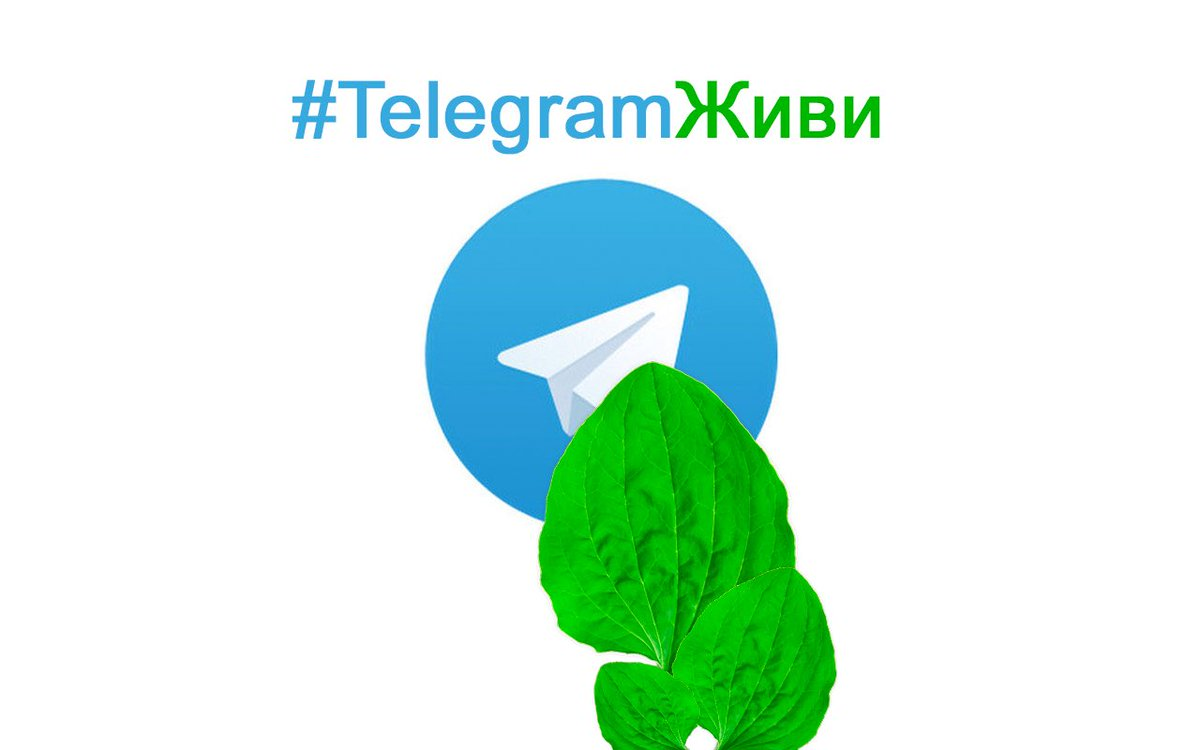 Картинки в telegram