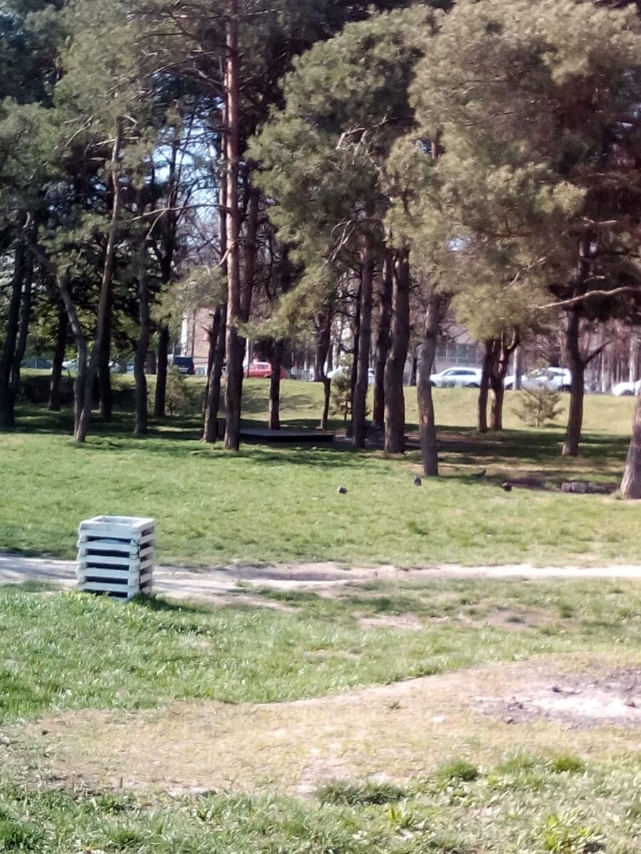 Городской сад «Карасунский»