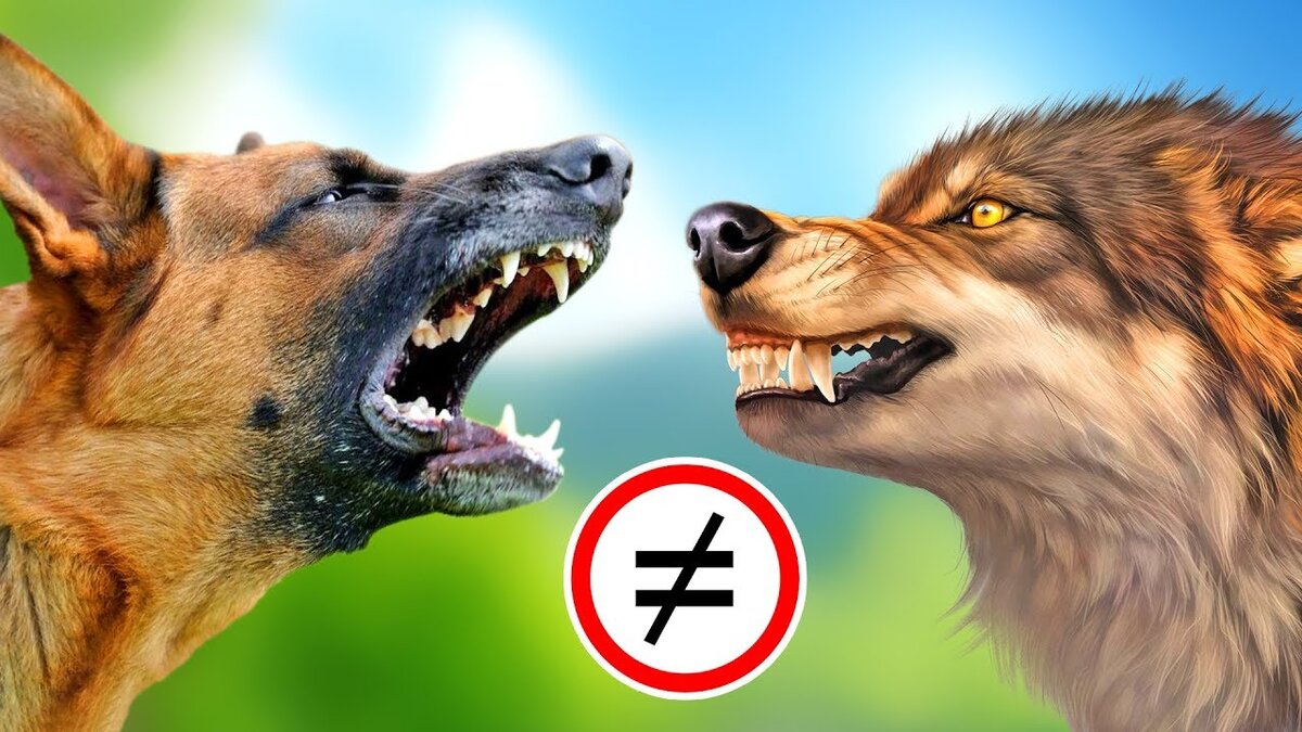 Источник: youtube.com