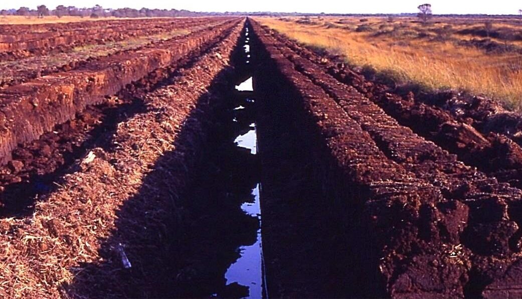 Резной торф, добыча