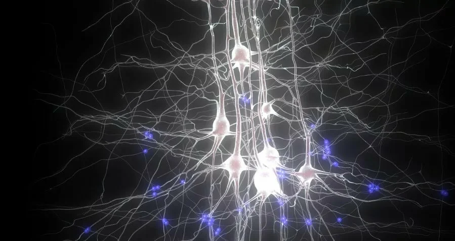Нейронные связи в мозге. Скопление нейронов. Нейроны головного мозга арт. Снимок нейронов мозга.