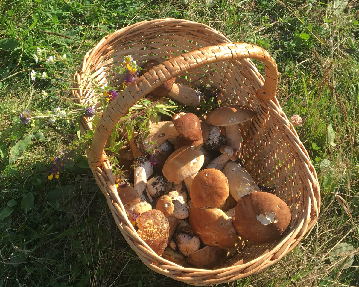 Первый улов сезона 2021!