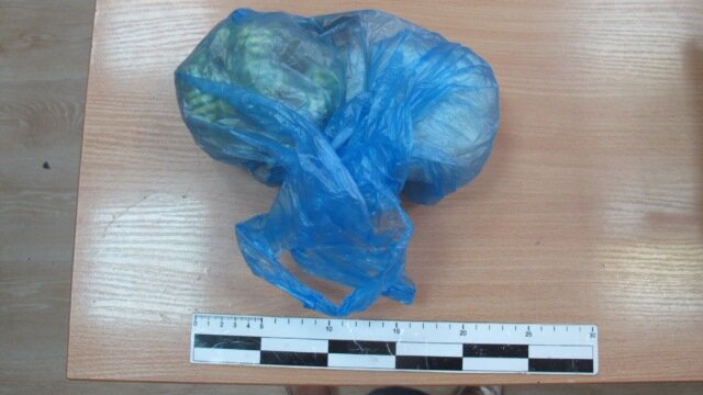 Фото, видео: 67.мвд.рф