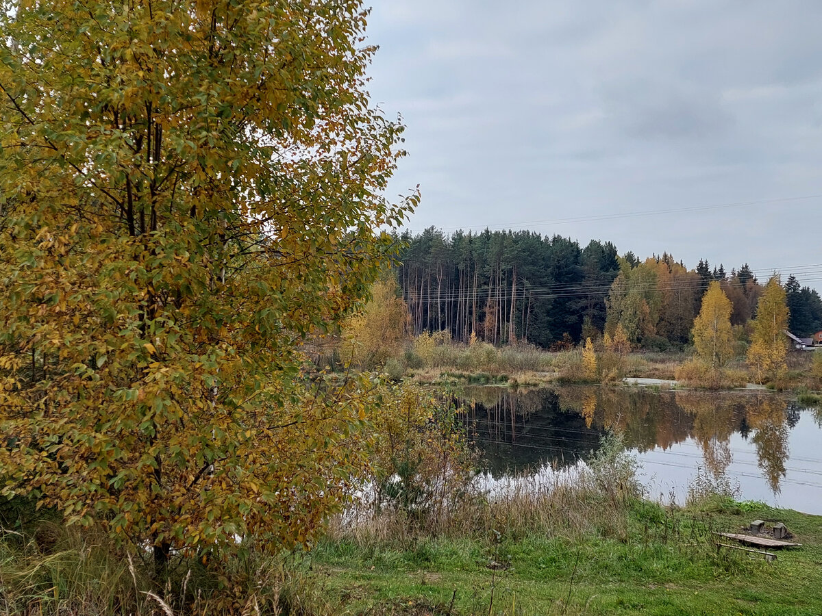 Фото автора. Подмосковье. Каскад прудов на речке Саморядовке.