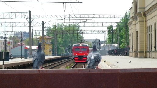 Секрет хранителя, Санкт Петербург