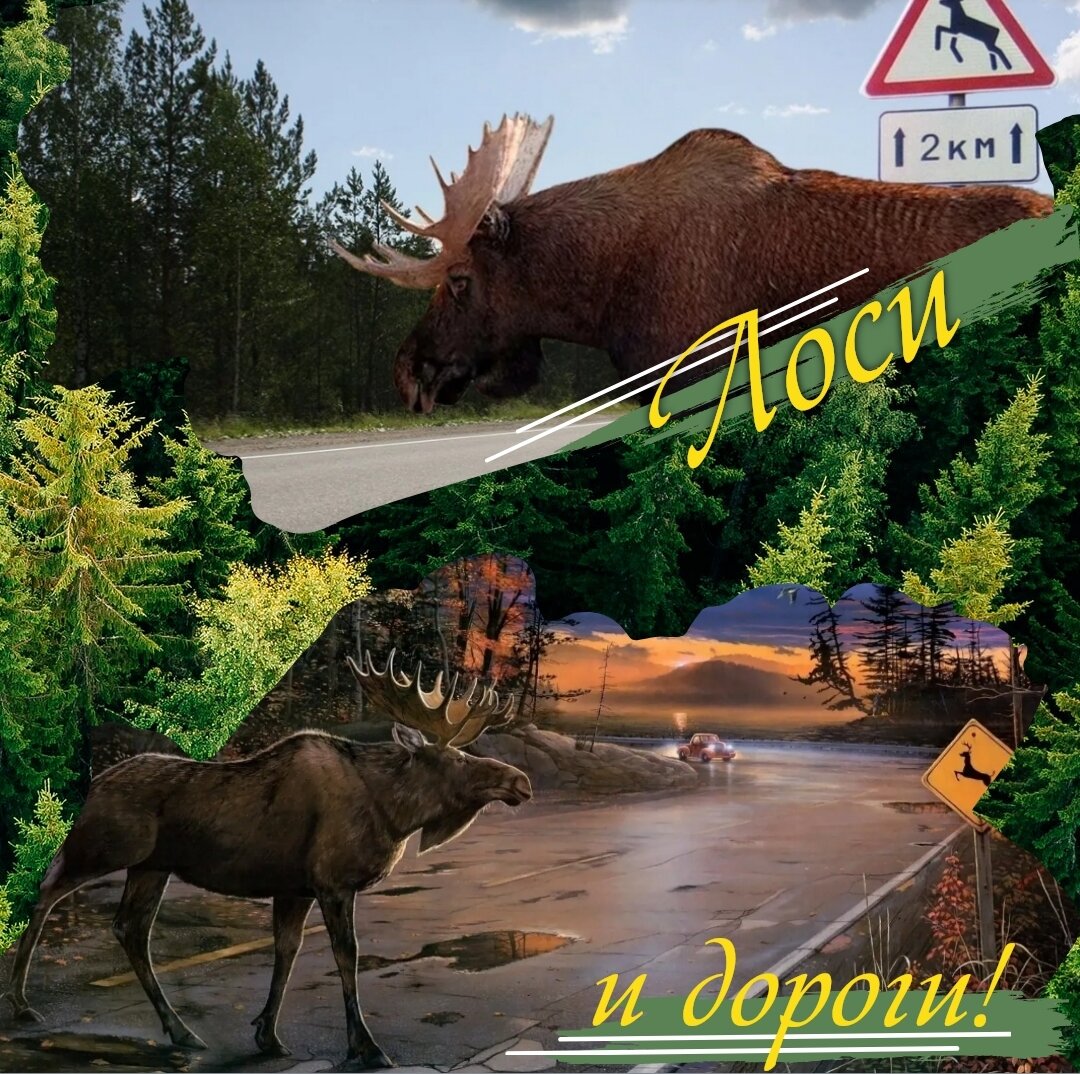 Коллаж автора канала. 