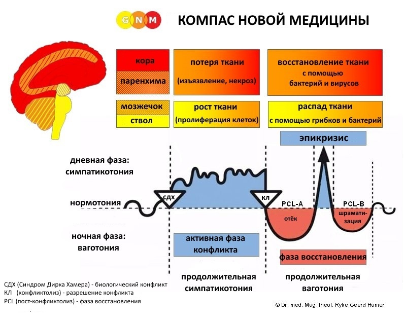 По этому компасу можно понять, когда и что происходит с нашей кожей