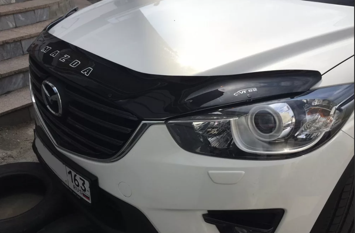 Мухобойка для автомобиля