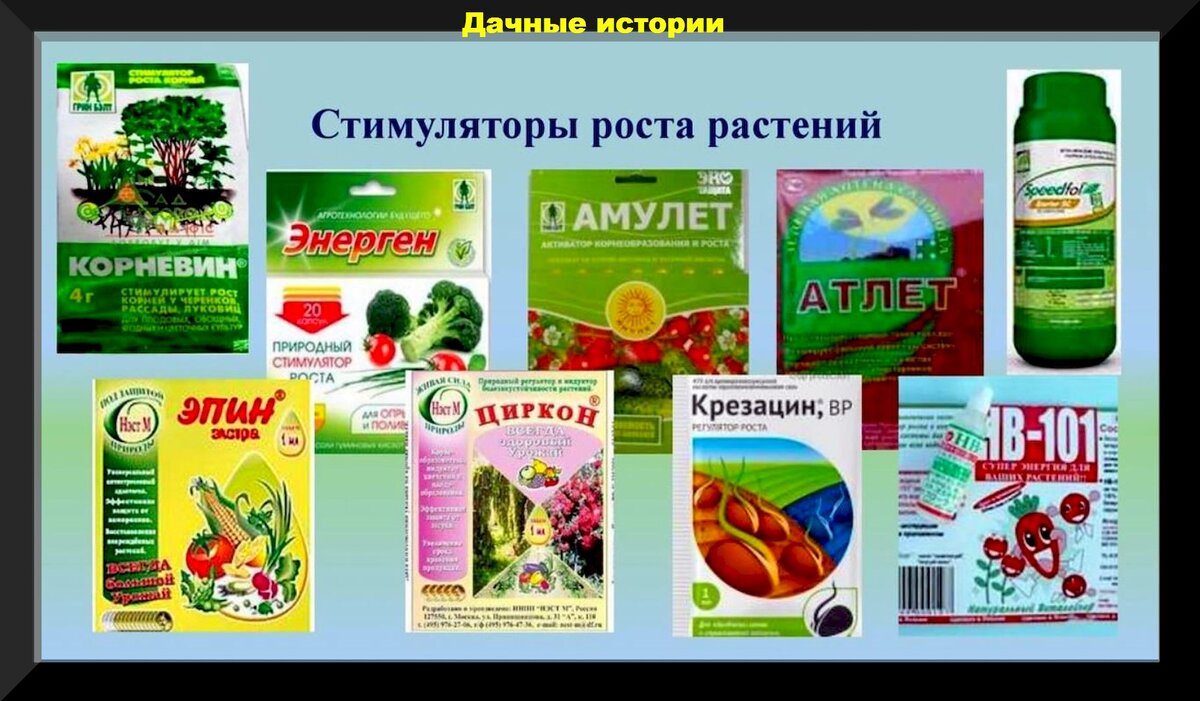 Стимуляторы корней из домашних продуктов