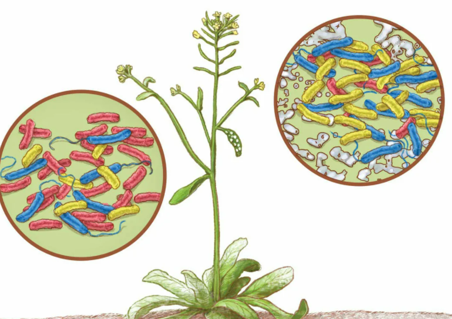 Фотография взята из источника csn-tv.ru