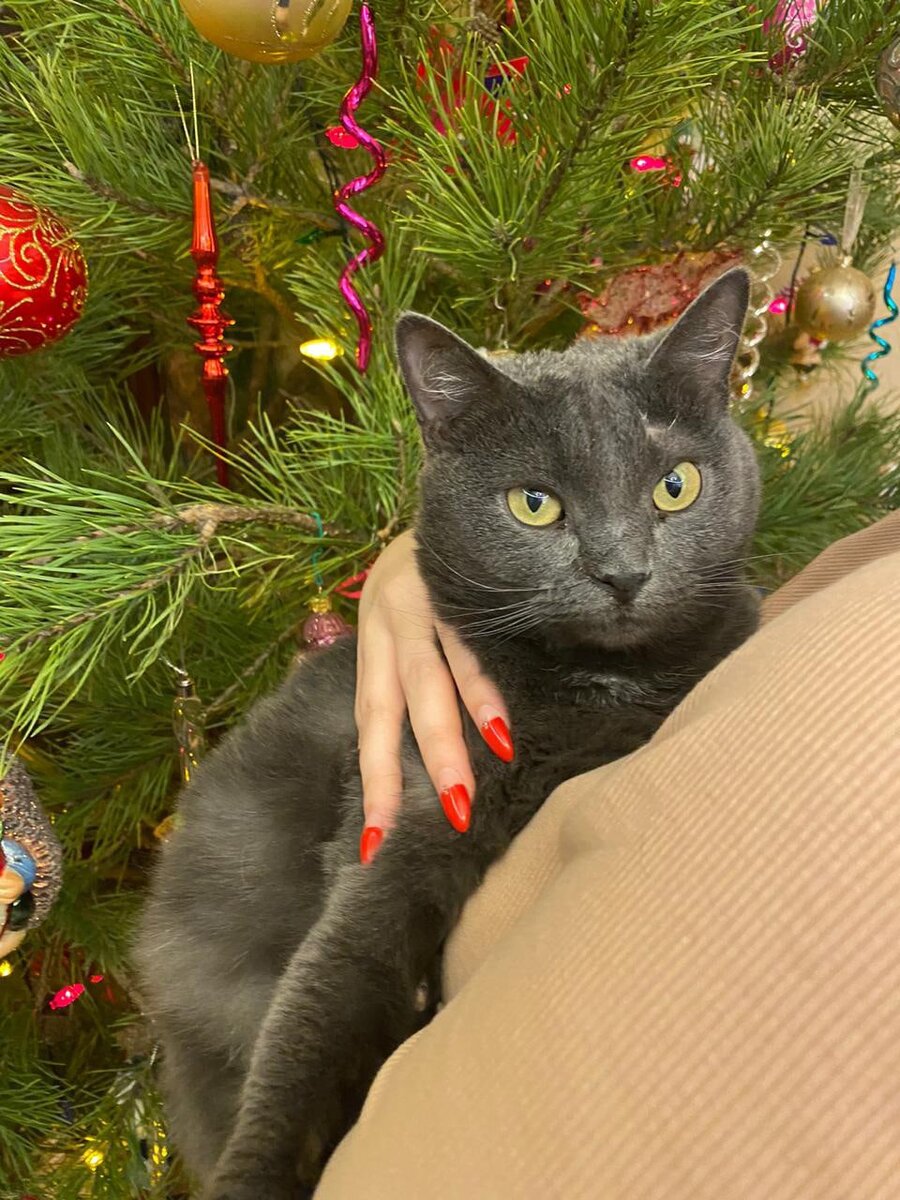 Мышка прошла долгий и сложный путь.. 