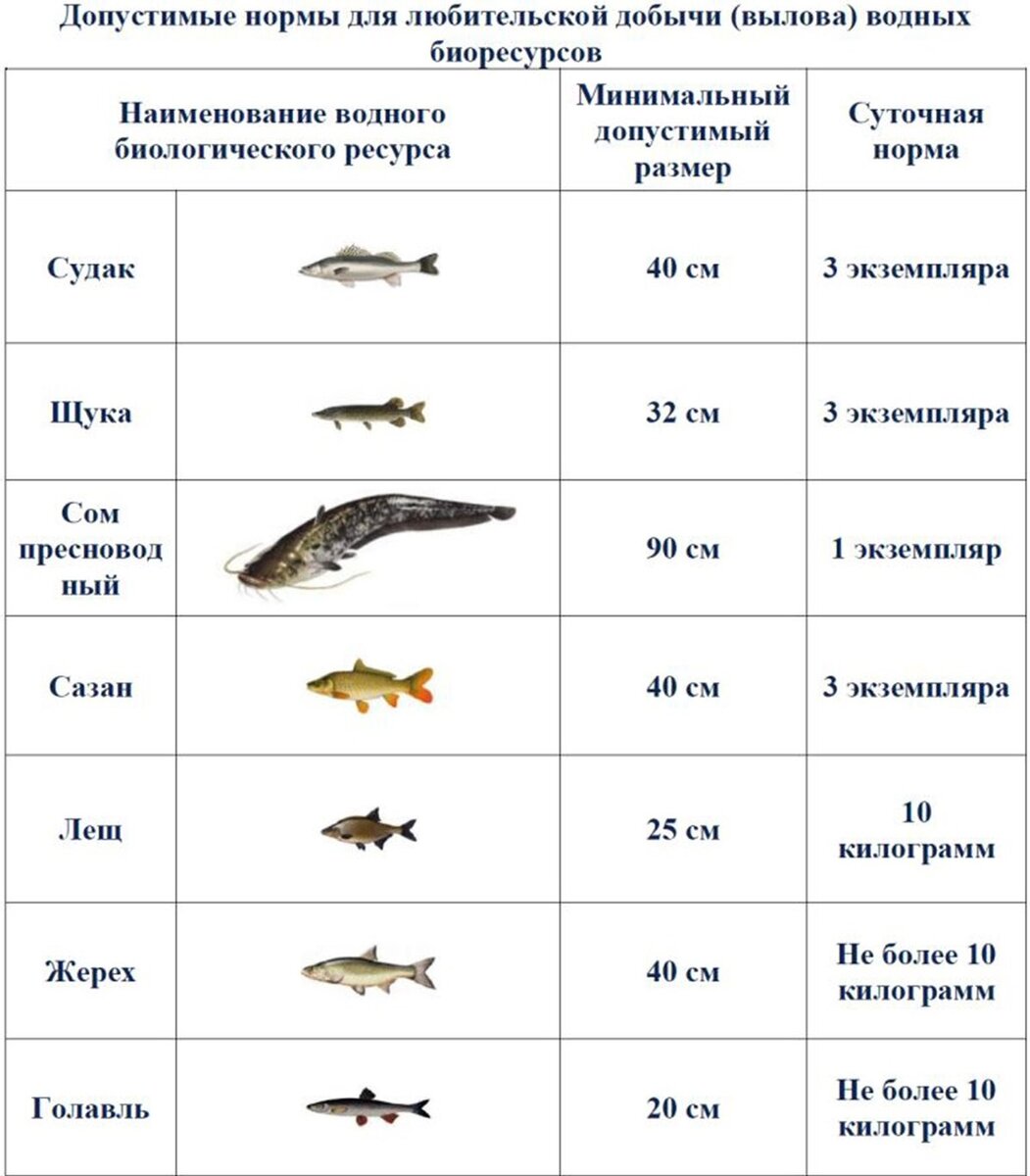 Форум 'Рыбка' • Просмотр темы - Смык