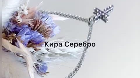 Кира серебро фото