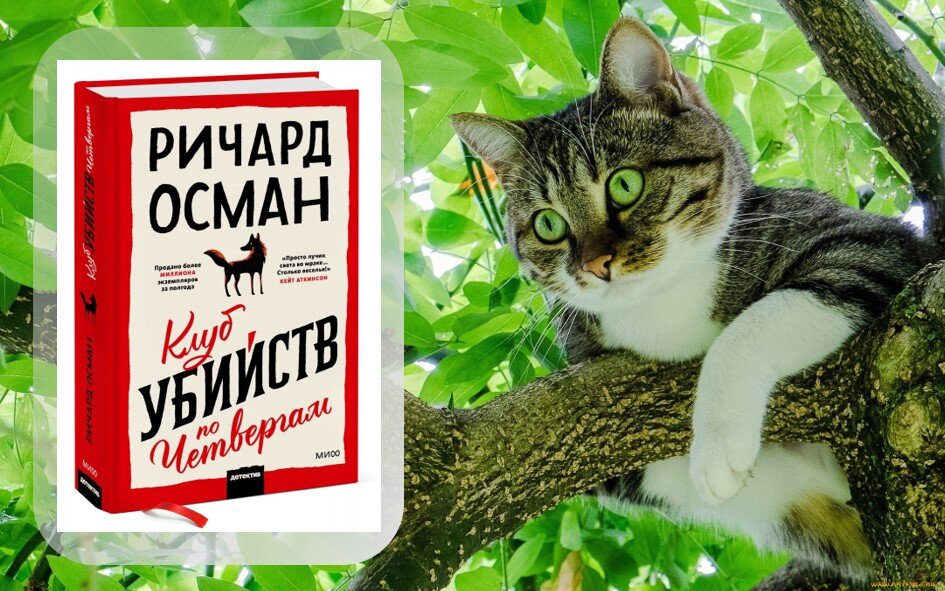 50 книг дзен