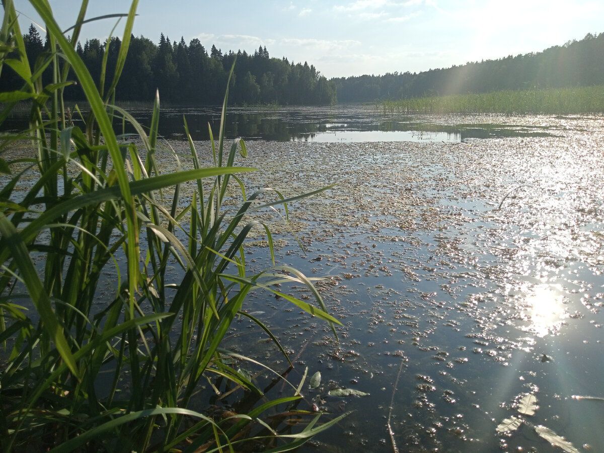 Так выглядит "вода". Вы стали бы сюда забрасывать блесну??))