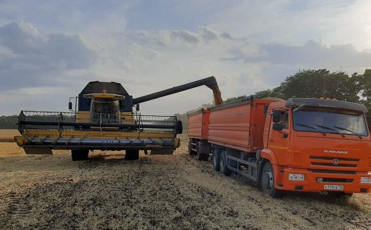    Итоги жатвы 2022 подвели в Ставропольском крае