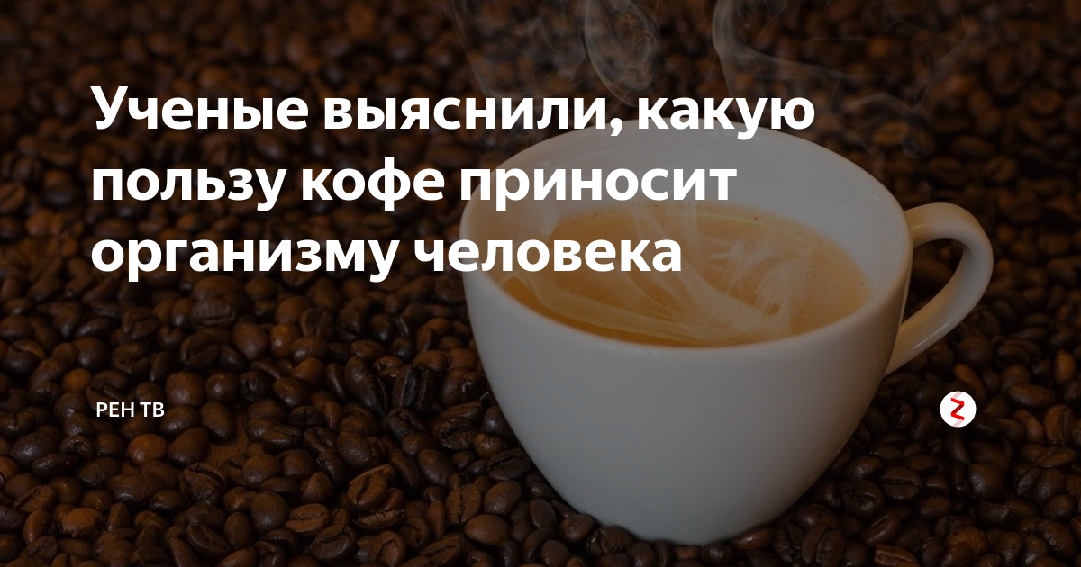 Сколько приносит кофе. Факты о кофе. Польза кофе для организма. Верочка принесите кофе. Как приносить кофе директору.