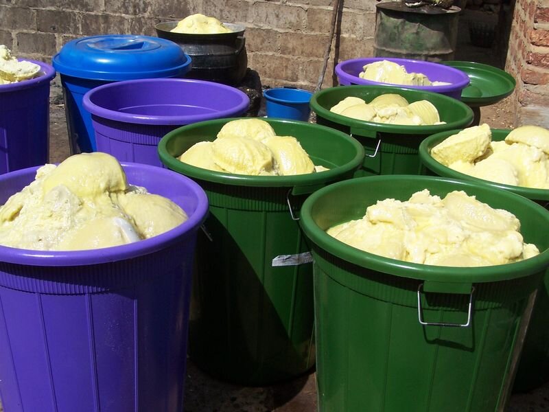 Только что полученное масло