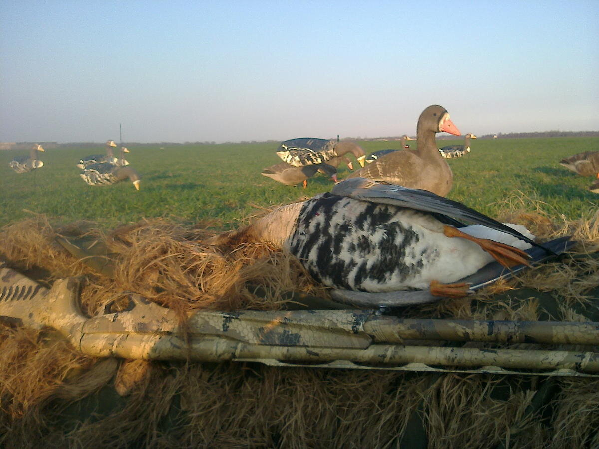 АВТОР СТАТЬИ: АНДРЕЙ УСОЛЬЦЕВ