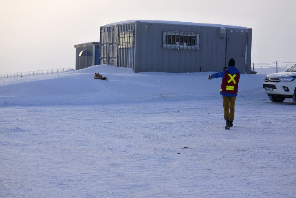Берём перчатку (помним, что кормить диких животных запрещено)