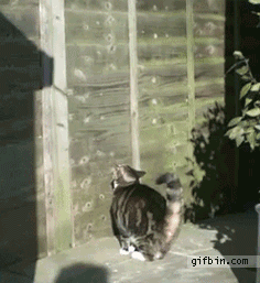 -11