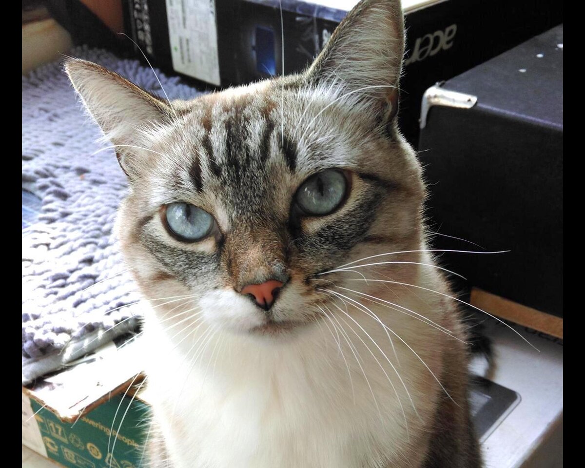 Короче, сегодня снимаем только меня. Руковожу процессом тоже я. Вопросы?