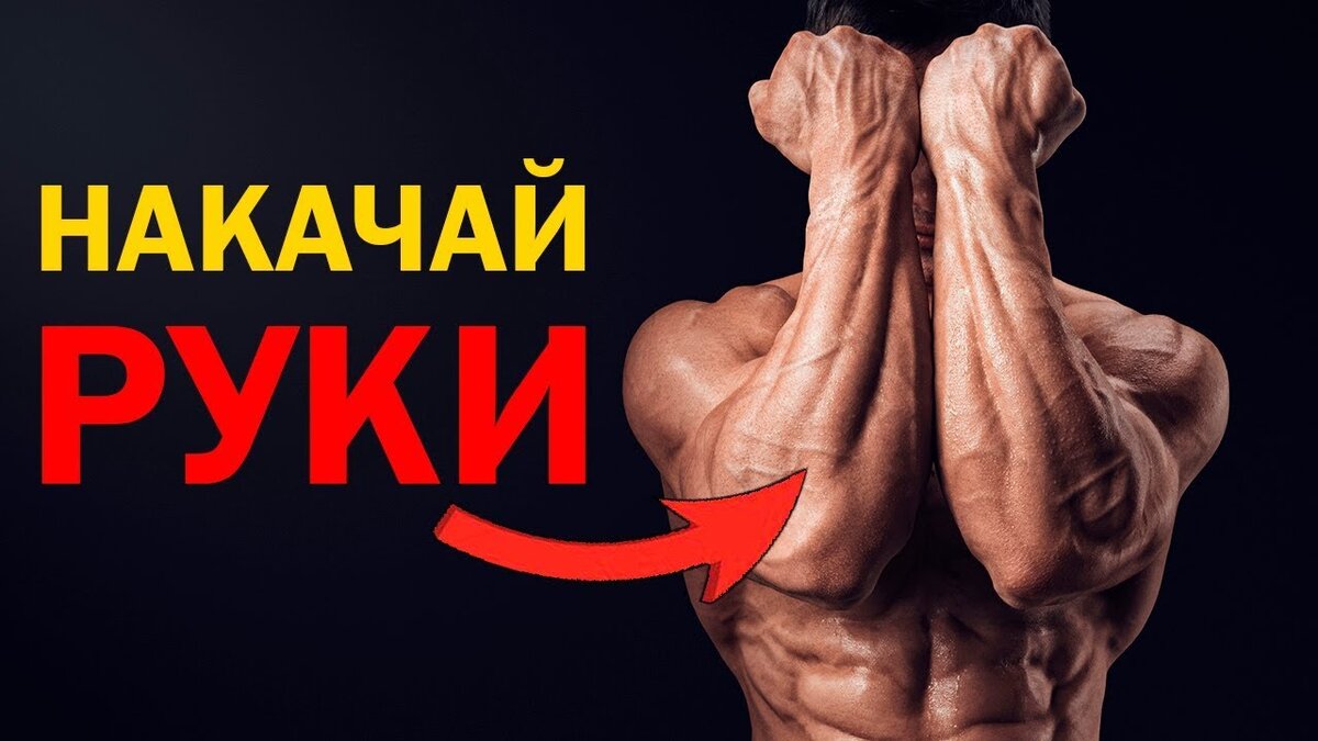 Как накачать руки (бицепс и предплечье) | Sport lifestyle | Дзен