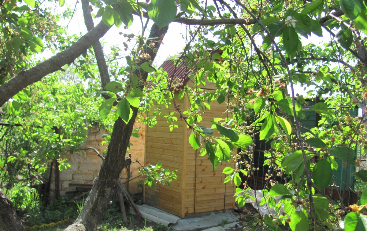 Вот он, домик размышлений, притаился в углу сада.